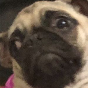 Meet your Posher, Katherine